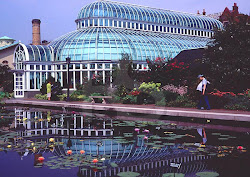 BROOKYLN BOTANICAL GARDEN