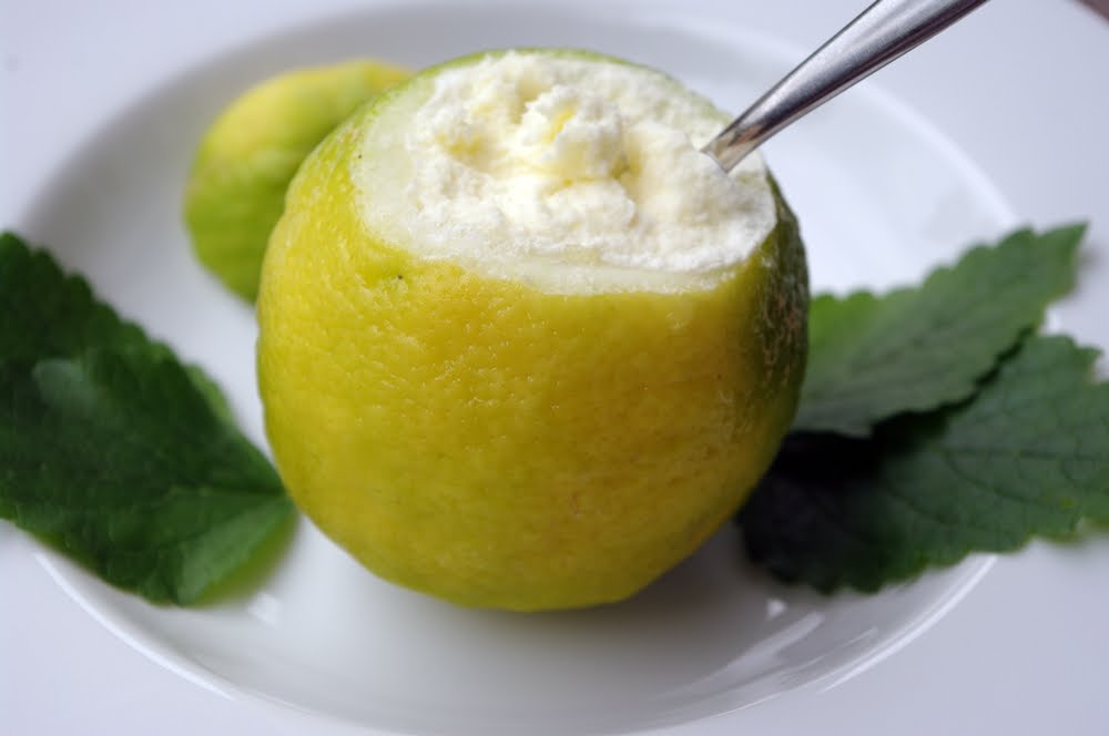 Wolkenfees Küchenwerkstatt: Geeiste Zitronen-Mousse, ein leckeres ...