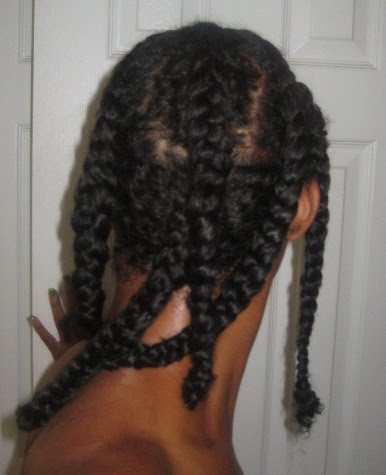 :: NikG* Life + Style ::: Hair Fanatic: Going Darker & Braidout