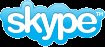 Skype Style