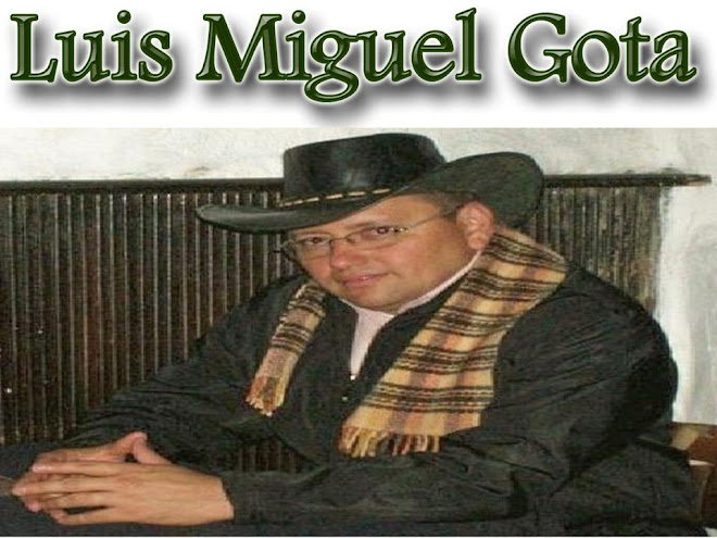 LUIS MIGUEL GOTA
