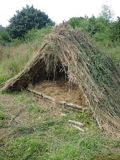 shelter building+spoon carving