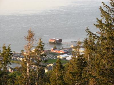 A view onto the Columbia River from the Astoria Column