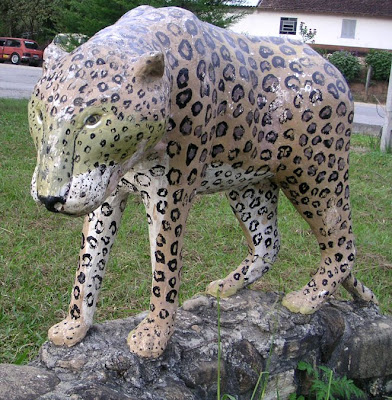 Roadside Jaguar, Brazil