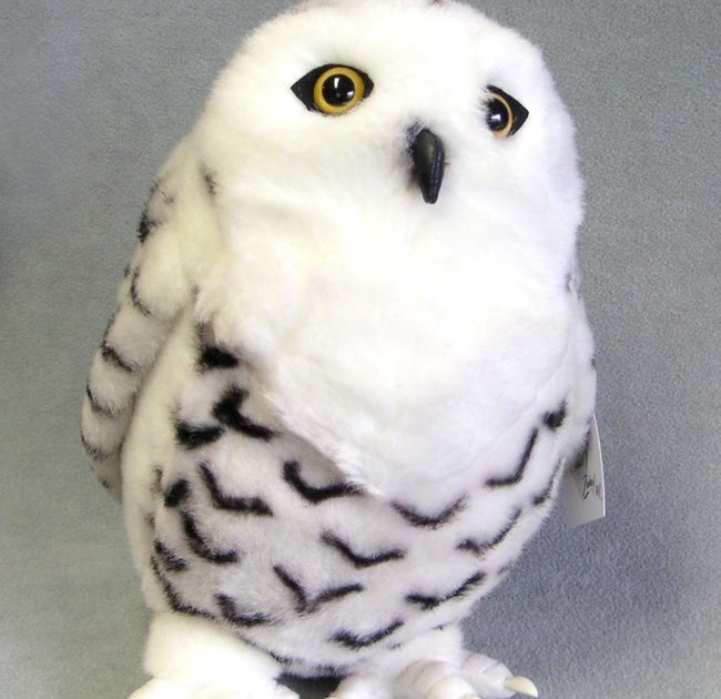 real stuffed owl