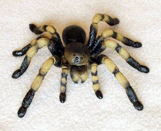 Spider 3D Puzzle (Tarantula)