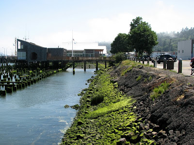 Green Waterside, Astoria, Oregon