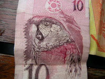 Parrot on Brazilian Money