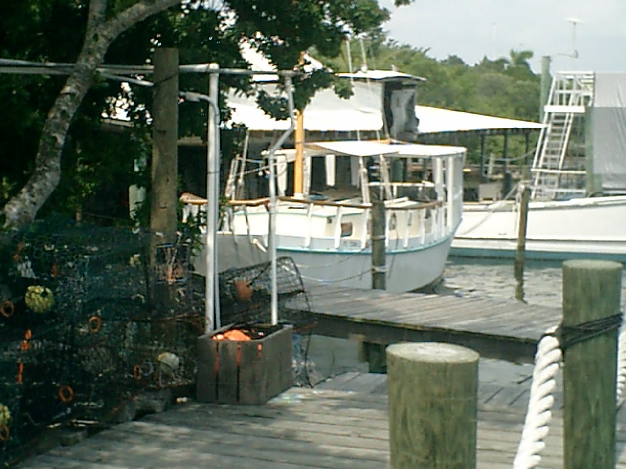 Beach Bum Report Cortez Fishing Village