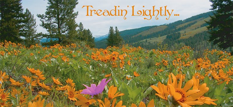 Treadin Lightly