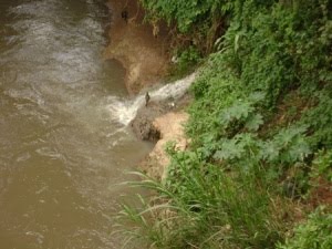 PRESERVE A NATUREZA A poluiçao no nosso rio meia ponte em GOIANIA