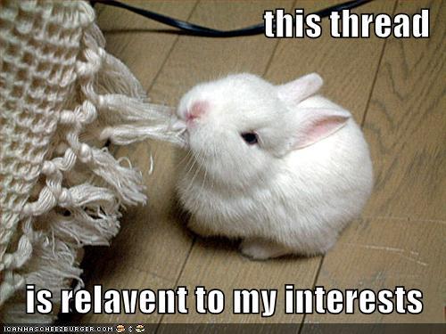[funny-pictures-rabbit-eats-thread.jpg]