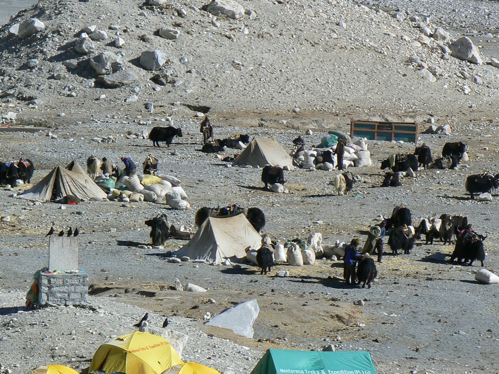 [33.+EBC+pro+nomazi.JPG]