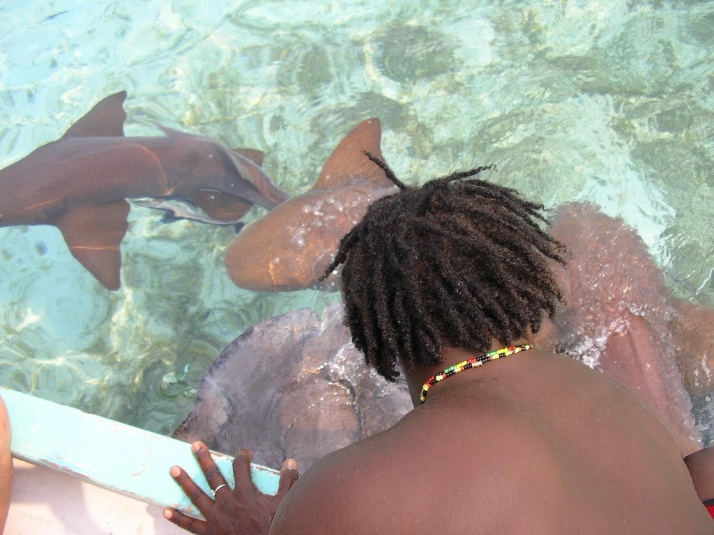 [25.+cpt+Steven+si+rechinii.JPG]