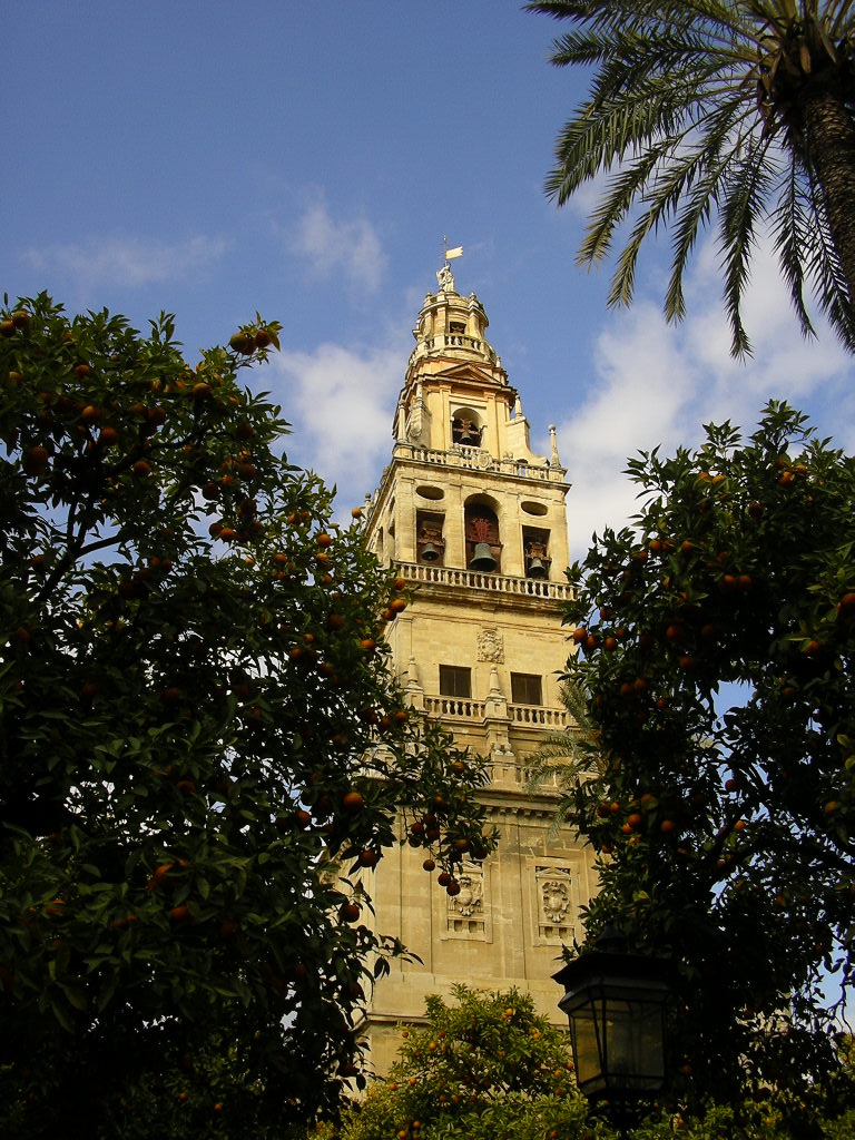 [65.+turnul+Mezquitei+Catedral.jpg]