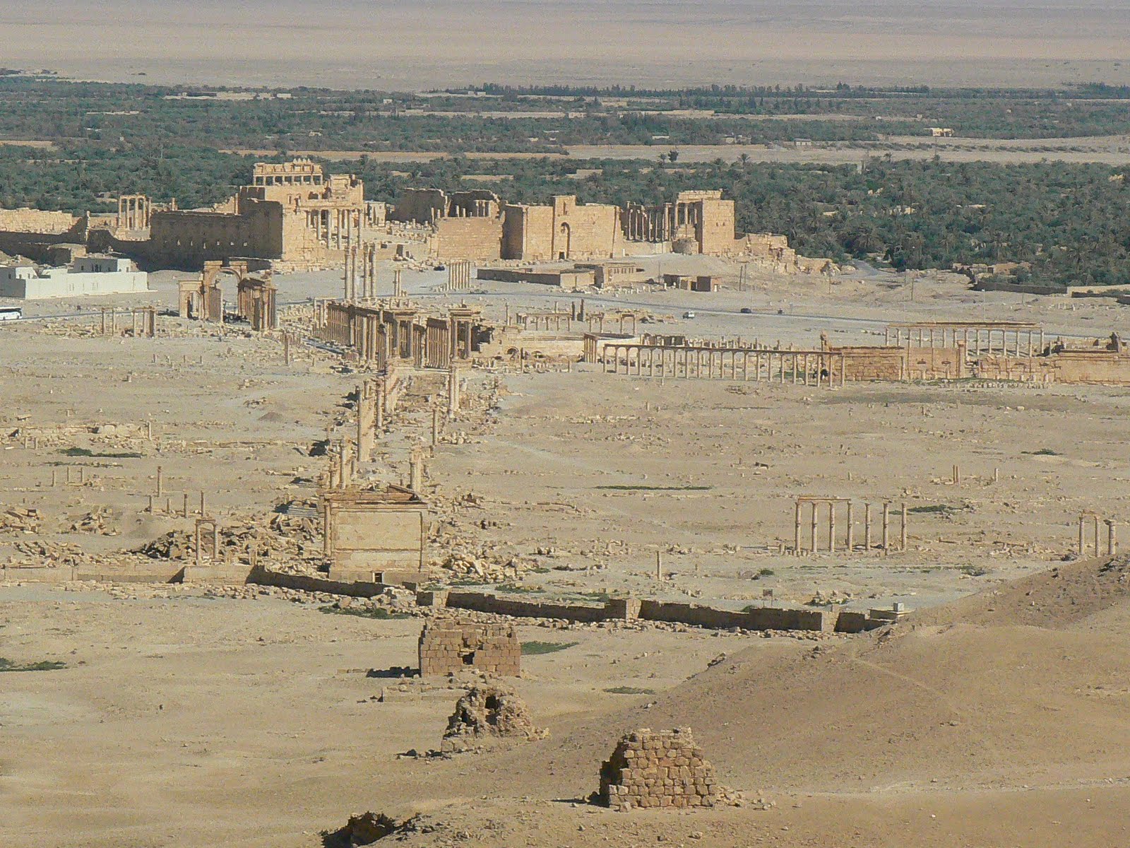 [36.+Palmyra.JPG]