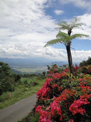 Micul paradis tropical de munte din Sulawesi