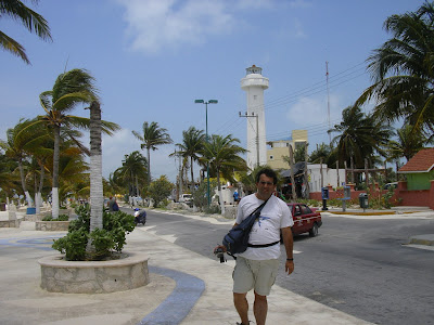 Palmieri pe insula exotica