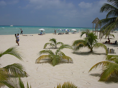 Plaja alba cu palmieri