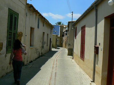 La doi pasi de Linia Verde Nicosia