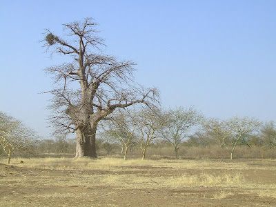 Imagini Sahara: drumul spre Bamako