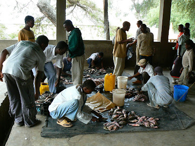 Imagini Etiopia: piata de peste din Awasa