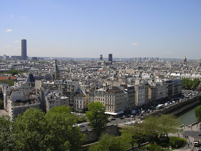 Imagini Franta: panorama din Notre Dame de Paris