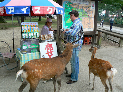 Obiective turistice Japonia: cumparand biscuiti de cerb in Nara