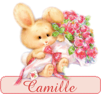 Camillle
