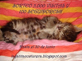 Sorteo en  La Gatita Costurera!!!