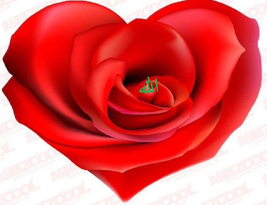 Mu'minun Allah help our heart....