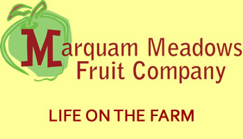 Marquam Meadows Fruit Company