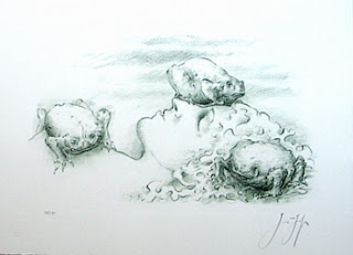 Günter Grass: Graphic Work, 1972-2007