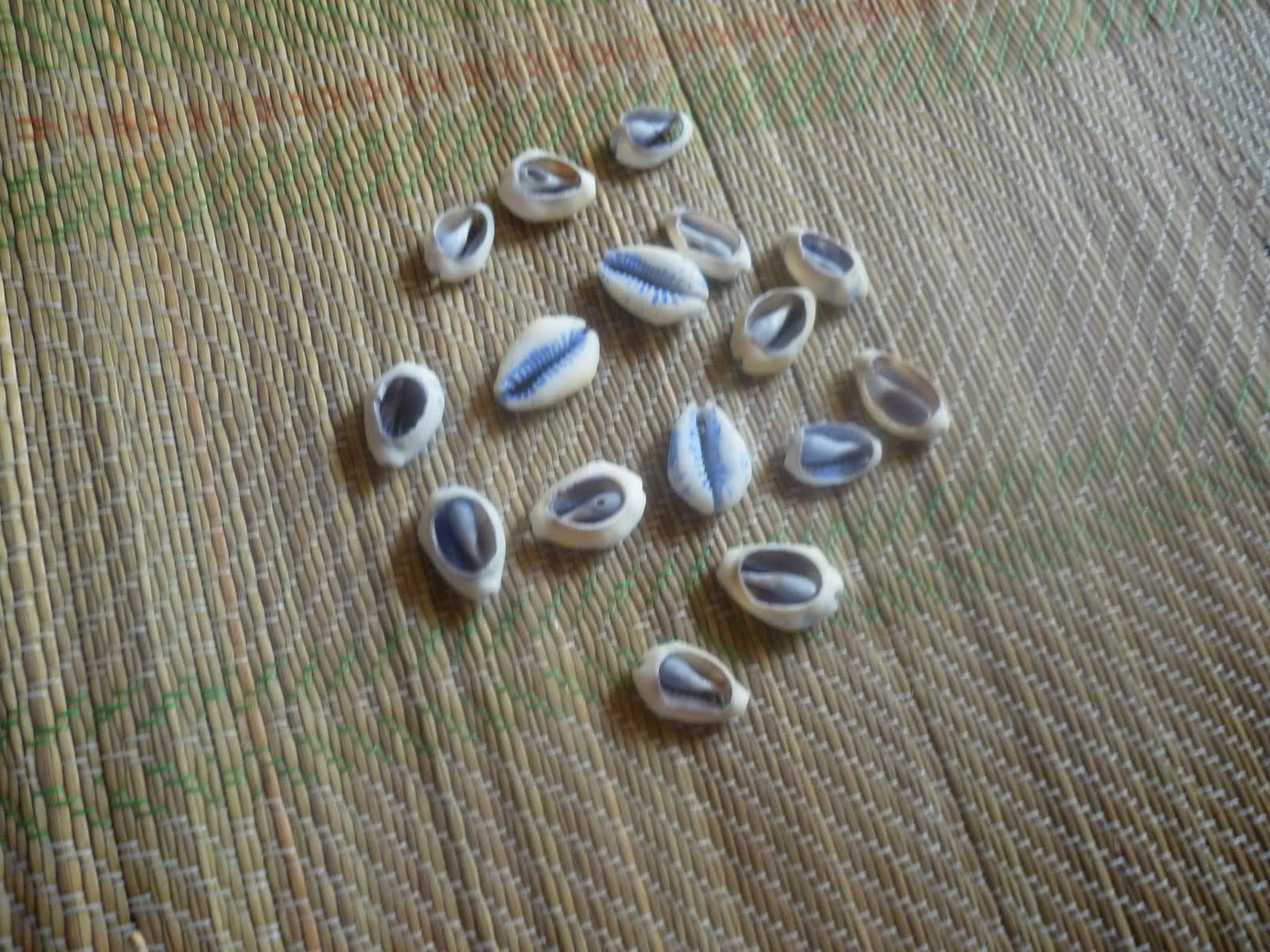 [P1000194.JPG]