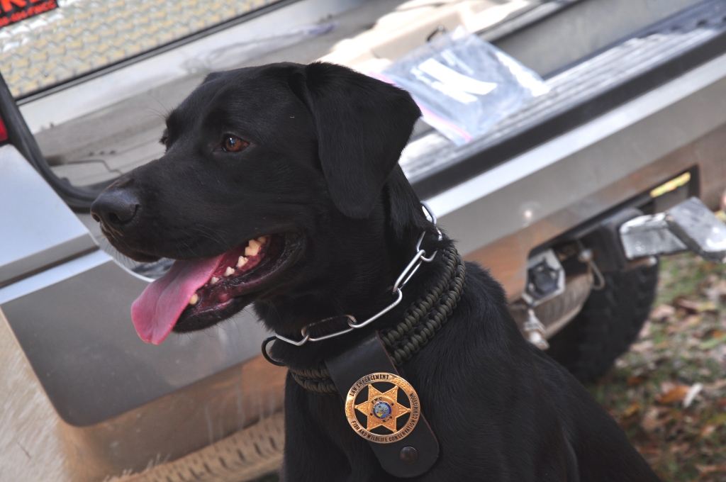 Paracord Designs Paracord Dog Collar and Leash made for Law Enforcement K9