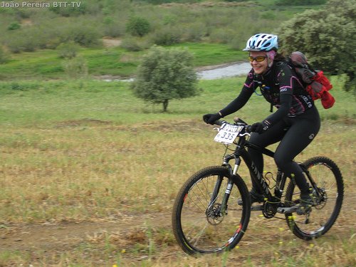 [ASG_500x375.jpg]