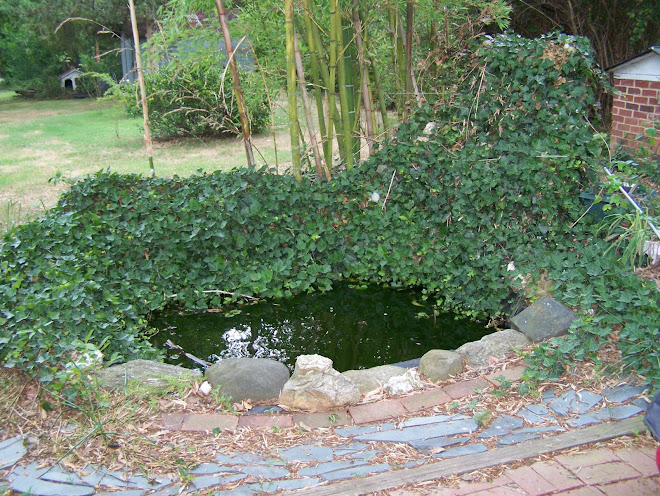 Ivy's life...a growing experience