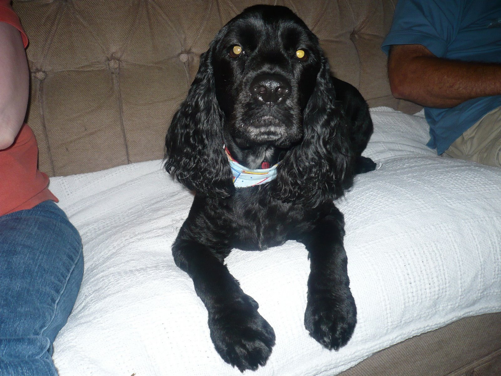 [ColbyAug08+001.jpg]