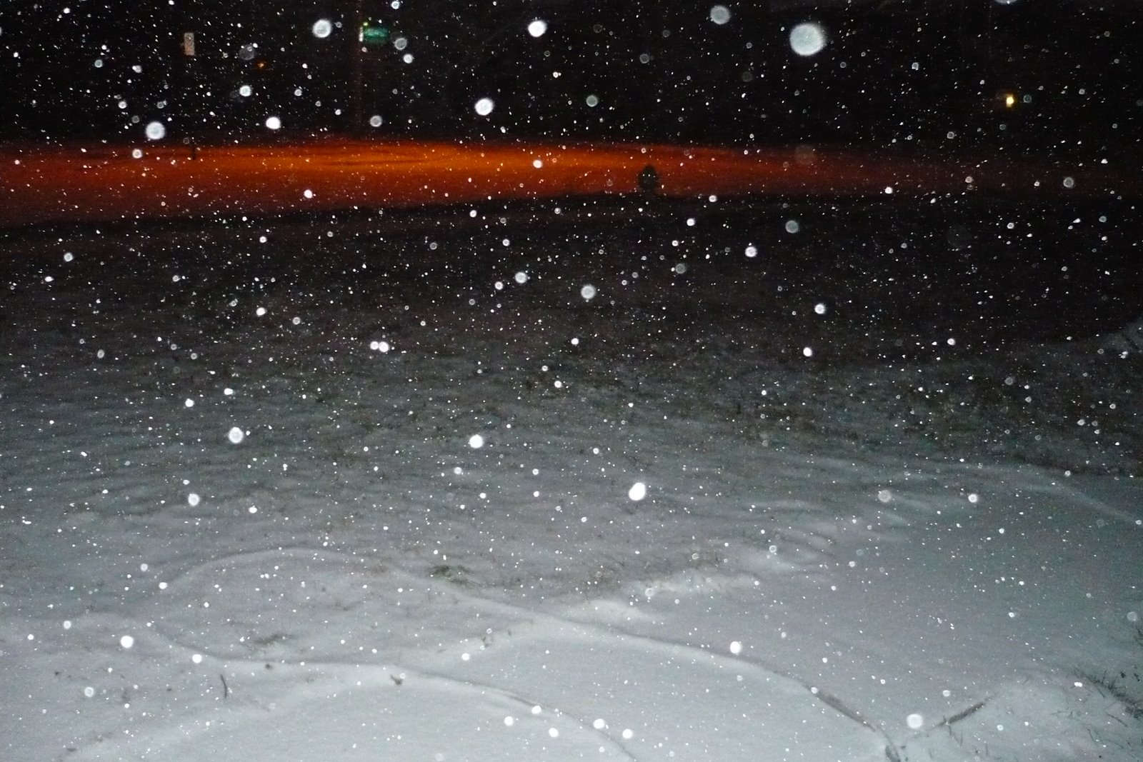 [WinterStewie+007.jpg]