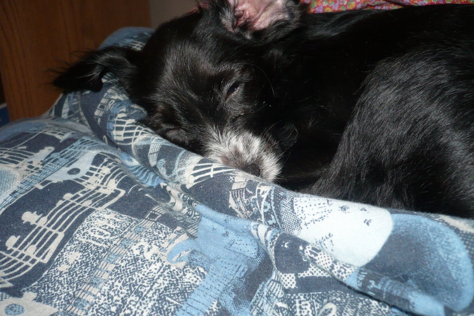 [WinterStewie+002.jpg]