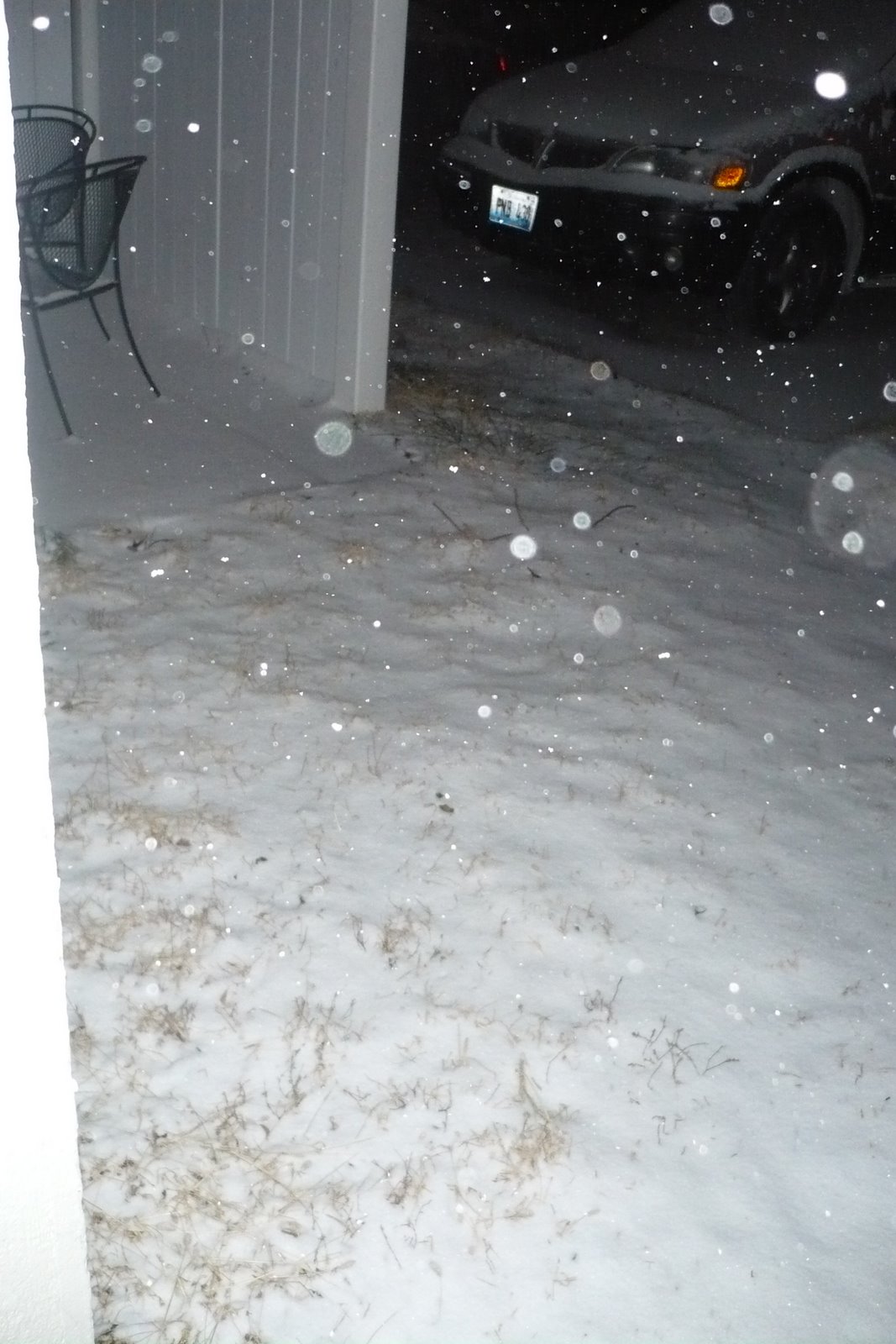 [WinterStewie+011.jpg]