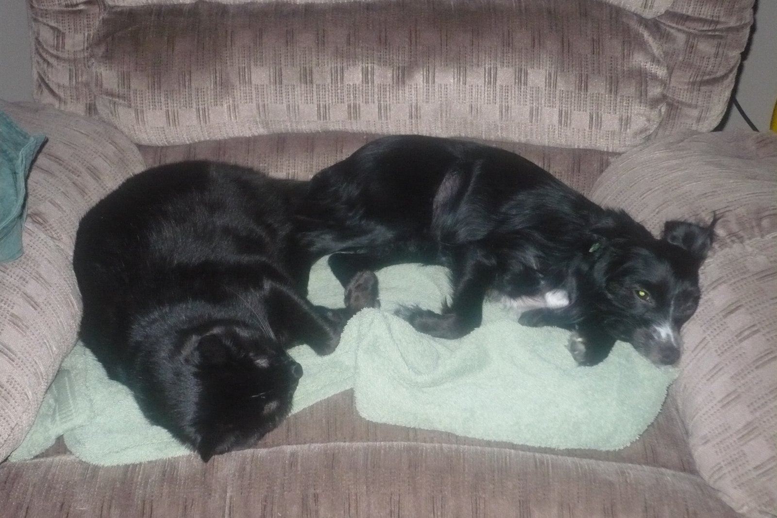 [Craig+Crib+09+007.jpg]