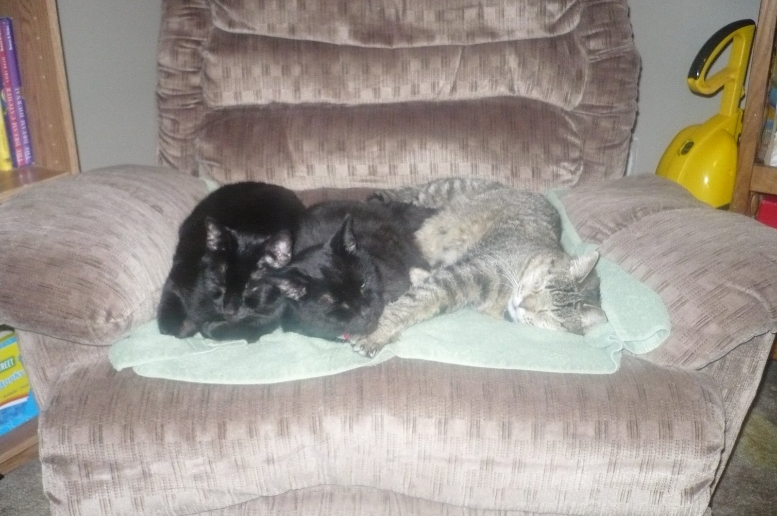 [Chicago,+June+09+135.jpg]