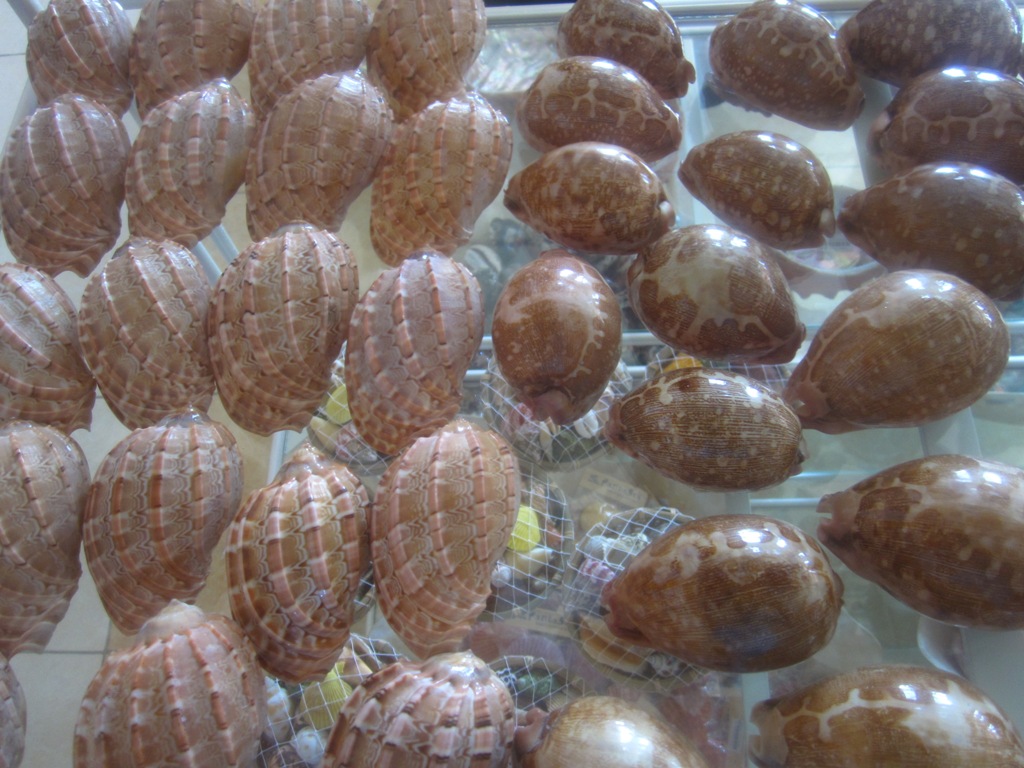 LET'S GO AROUND THE WORLD!!! JALANJALAN SEPUTAR DENPASAR