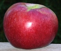 A glossy red apple against a dark background