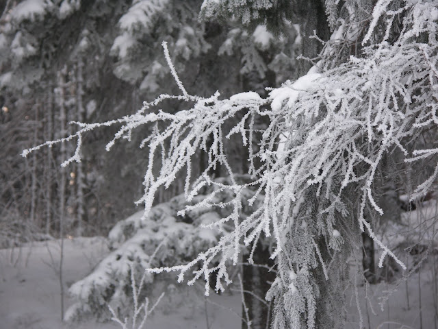 Winter-Wonderland ( Mamma har fotat!!! )