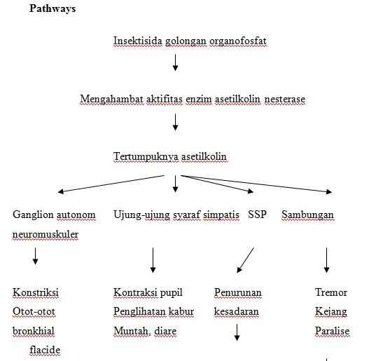 keracunan organofosfat
