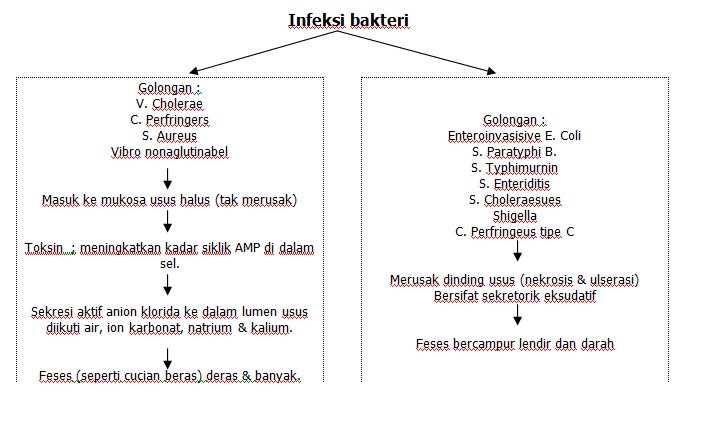 DIAGNOSA DIARE PDF DIAGNOSA DIARE PDF