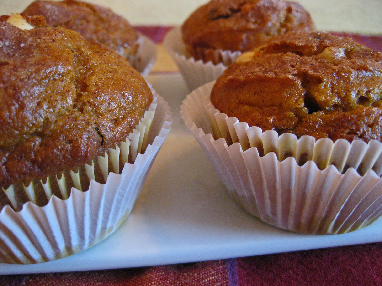 double chocolate chip pumpkin muffins