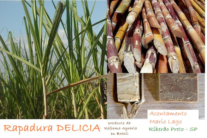 Rapadura Artesanal- Produto da Reforma Agraria